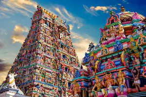 Chennai business and digital services