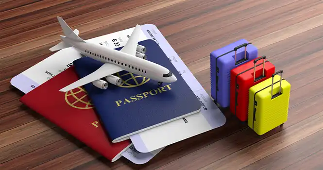 Immigration Website project
